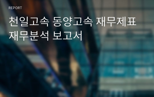 천일고속 동양고속 재무제표 재무분석 보고서