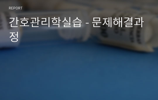 간호관리학실습 - 문제해결과정