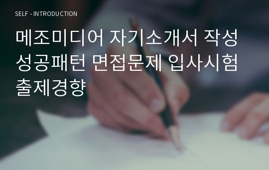 메조미디어 자기소개서 작성 성공패턴 면접문제 입사시험 출제경향