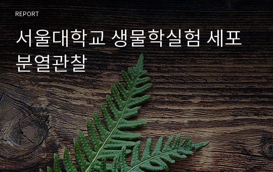 서울대학교 생물학실험 세포분열관찰