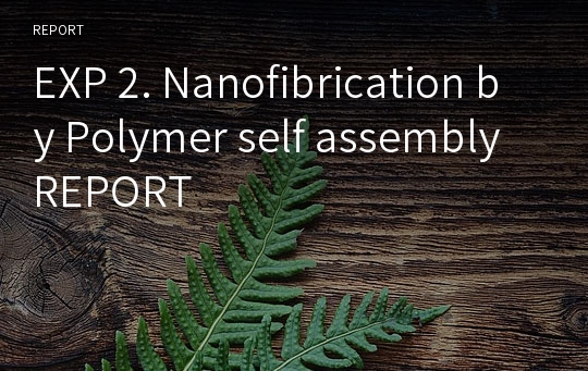 EXP 2. Nanofibrication by Polymer self assembly REPORT