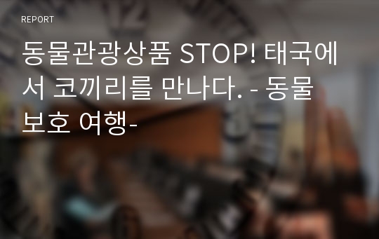 동물관광상품 STOP! 태국에서 코끼리를 만나다. - 동물 보호 여행-