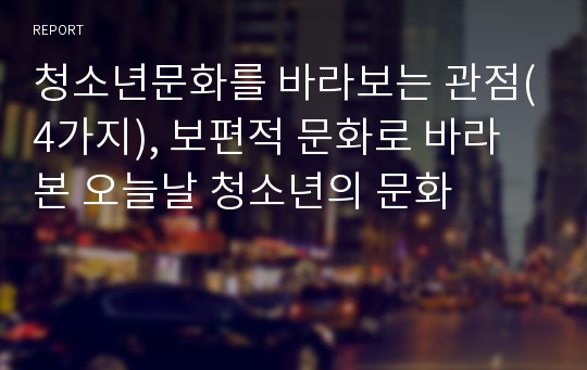 청소년문화를 바라보는 관점(4가지), 보편적 문화로 바라본 오늘날 청소년의 문화