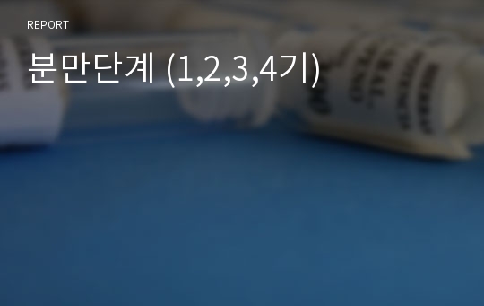 분만단계 (1,2,3,4기)