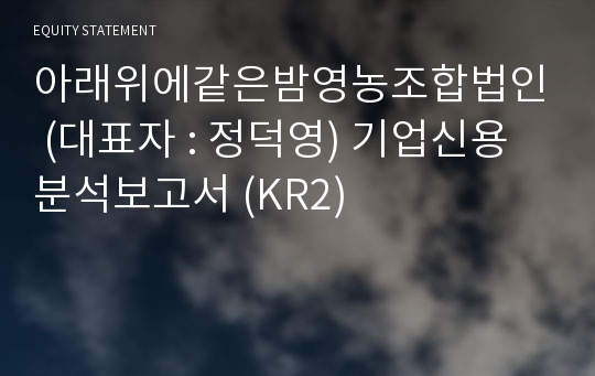 아래위에같은밤영농조합법인 기업신용분석보고서 (KR2)