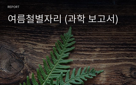 여름철별자리 (과학 보고서)