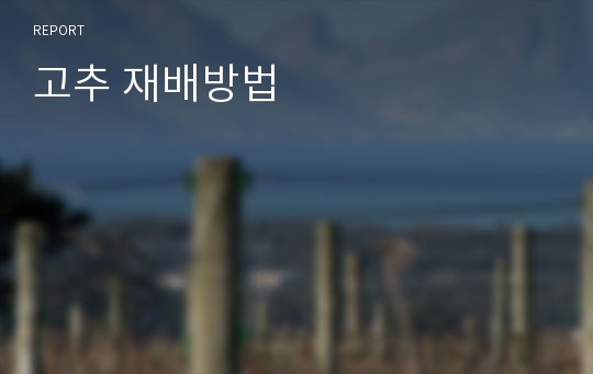 고추 재배방법