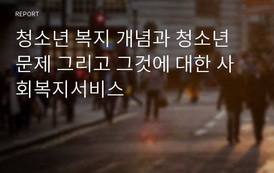 청소년 복지 개념과 청소년 문제 그리고 그것에 대한 사회복지서비스