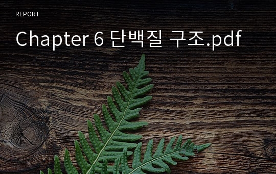 Chapter 6 단백질 구조.pdf