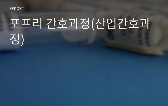 포프리 간호과정(산업간호과정)