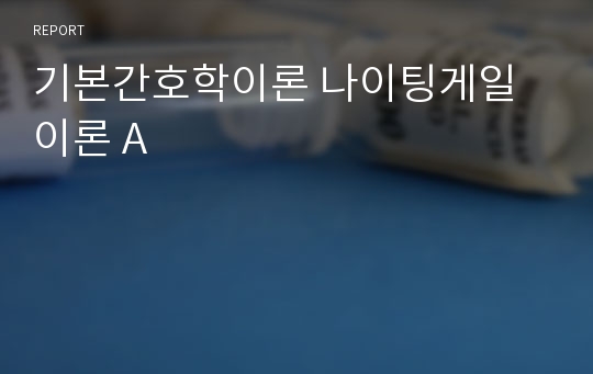 기본간호학이론 나이팅게일 이론 A