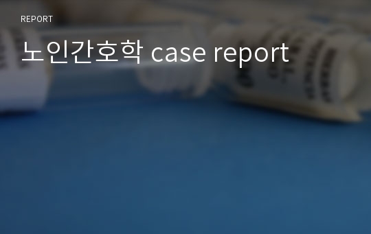 노인간호학 case report