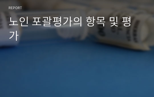 노인 포괄평가의 항목 및 평가