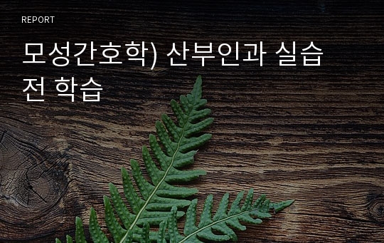 모성간호학) 산부인과 실습 전 학습