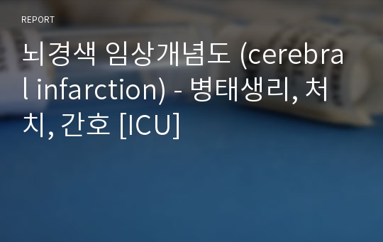 뇌경색 임상개념도 (cerebral infarction) - 병태생리, 처치, 간호 [ICU]