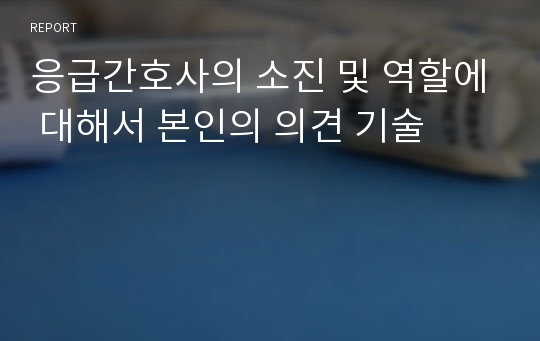 응급간호사의 소진 및 역할에 대해서 본인의 의견 기술