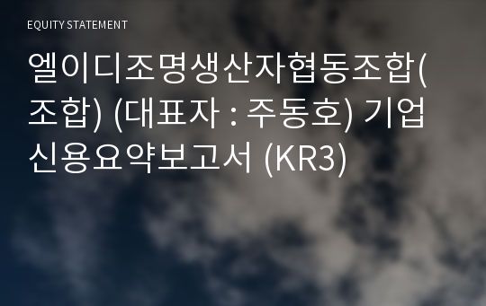 저탄소에너지협동조합 기업신용요약보고서 (KR3)