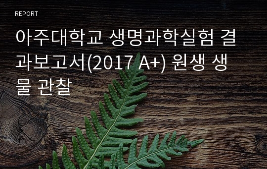 아주대학교 생명과학실험 결과보고서(2017 A+) 원생 생물 관찰