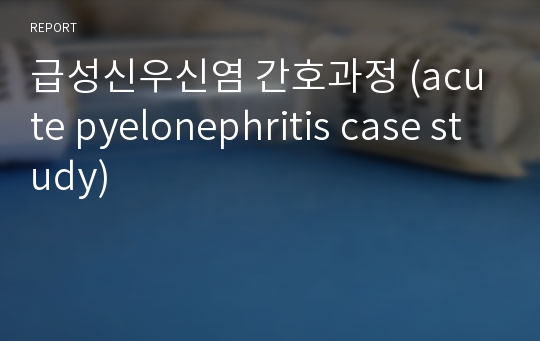 급성신우신염 간호과정 (acute pyelonephritis case study)