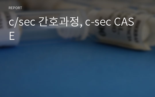 c/sec 간호과정, c-sec CASE