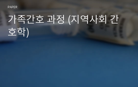 가족간호 과정 (지역사회 간호학)