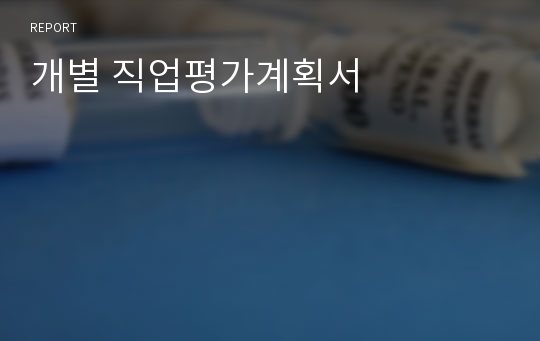 개별 직업평가계획서