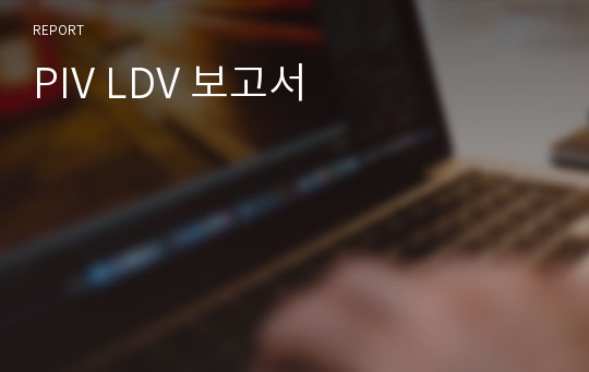 PIV LDV 보고서