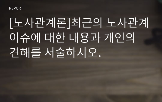 [노사관계론]최근의 노사관계이슈에 대한 내용과 개인의 견해를 서술하시오.