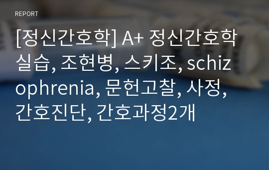 [정신간호학] A+ 정신간호학실습, 조현병, 스키조, schizophrenia, 문헌고찰, 사정, 간호진단, 간호과정2개