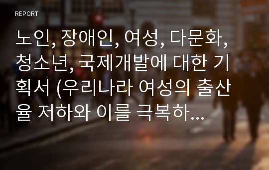 노인, 장애인, 여성, 다문화, 청소년, 국제개발에 대한 기획서 (우리나라 여성의 출산율 저하와 이를 극복하기 위한 대안에 관한 기획서)