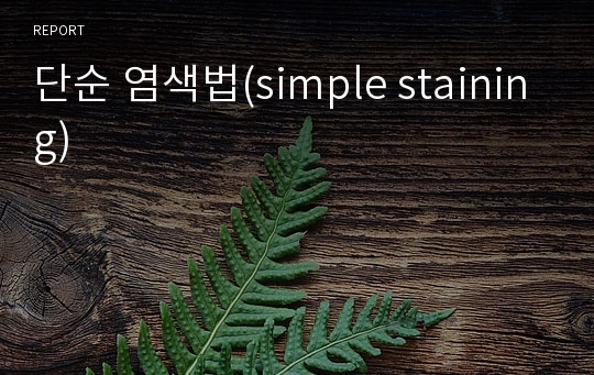 단순 염색법(simple staining)