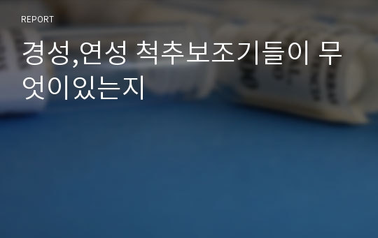 경성,연성 척추보조기들이 무엇이있는지