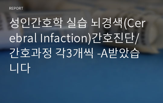 성인간호학 실습 뇌경색(Cerebral Infaction)간호진단/간호과정 각3개씩 -A받았습니다