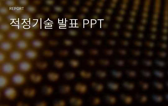 적정기술 발표 PPT