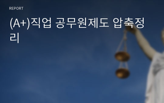 (A+)직업 공무원제도 압축정리