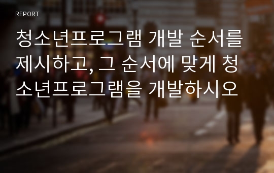 청소년프로그램 개발 순서를 제시하고, 그 순서에 맞게 청소년프로그램을 개발하시오