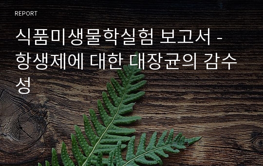 식품미생물학실험 보고서 - 항생제에 대한 대장균의 감수성