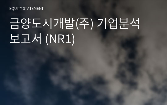 금양도시개발 기업분석 보고서 (NR1)