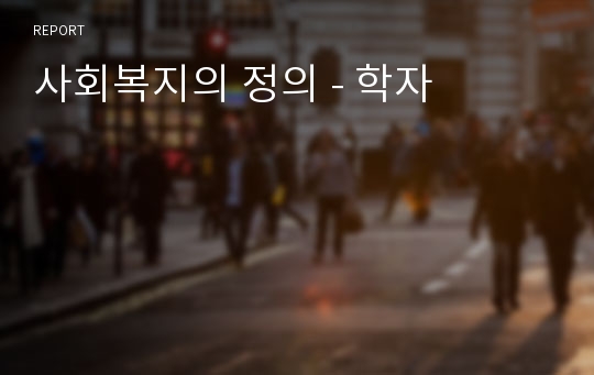 사회복지의 정의 - 학자