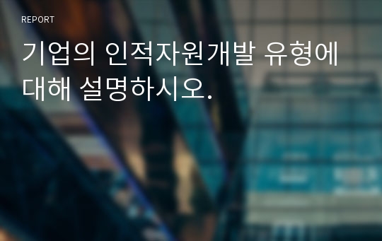 기업의 인적자원개발 유형에 대해 설명하시오.