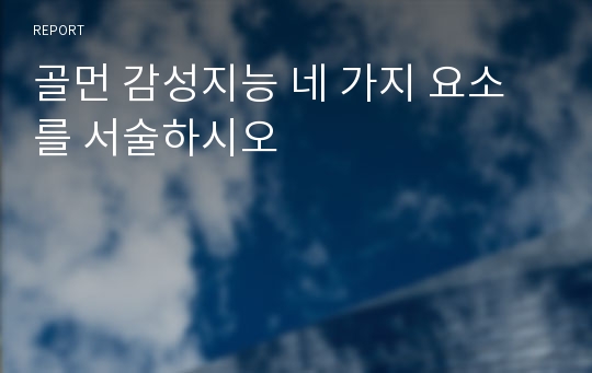 골먼 감성지능 네 가지 요소를 서술하시오