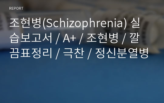 조현병(Schizophrenia) 실습보고서 / A+ / 조현병 / 깔끔표정리 / 극찬 / 정신분열병