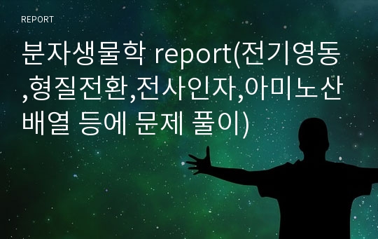 분자생물학 report(전기영동,형질전환,전사인자,아미노산배열 등에 문제 풀이)