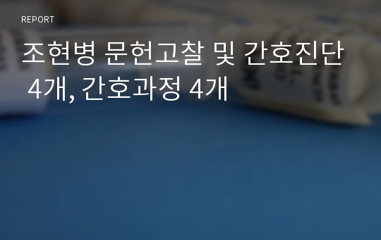 조현병 문헌고찰 및 간호진단 4개, 간호과정 4개