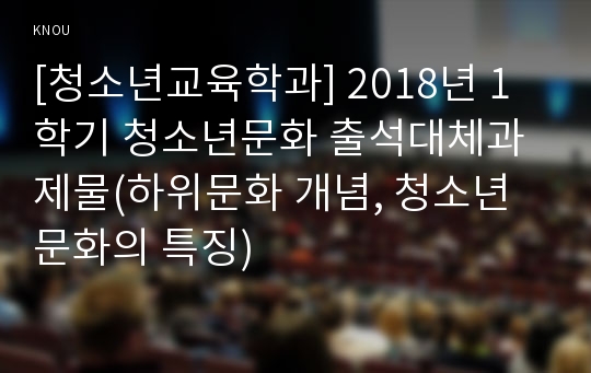 [청소년교육학과] 2018년 1학기 청소년문화 출석대체과제물(하위문화 개념, 청소년문화의 특징)