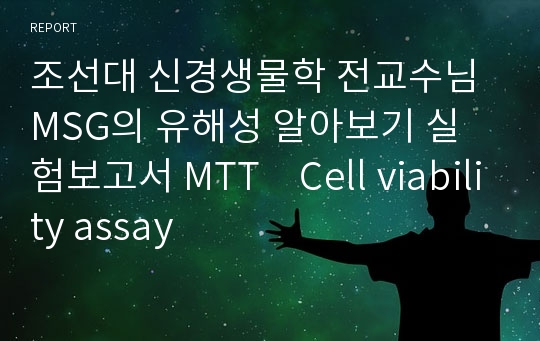 MSG의 유해성 알아보기 실험보고서 MTT Cell viability assay