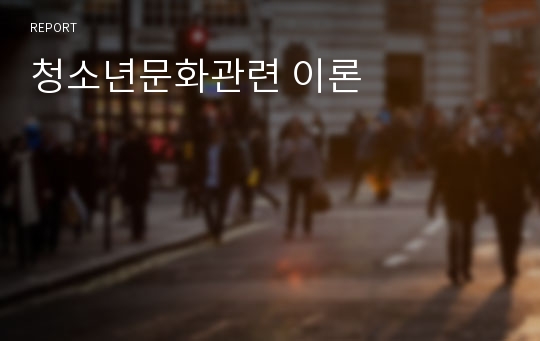 청소년문화관련 이론