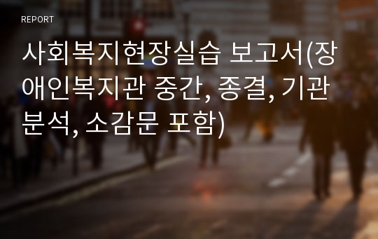 사회복지현장실습 보고서(장애인복지관 중간, 종결, 기관분석, 소감문 포함)