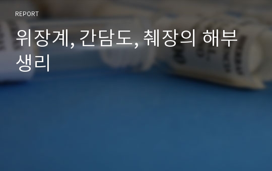 위장계, 간담도, 췌장의 해부생리