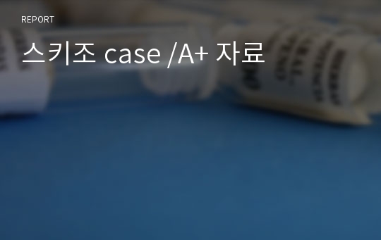 스키조 case /A+ 자료